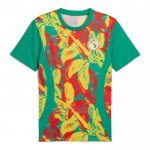 Camisola Pre Match del Senegal 2024 Verde