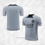 Camisola de Treinamento Paris Saint-Germain Jordan 2022-2023 Cinza