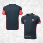 Camisola de Treinamento Bayern de Munique 2025-2026 Cinza Oscuro