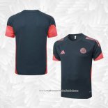 Camisola de Treinamento Bayern de Munique 2025-2026 Cinza Oscuro