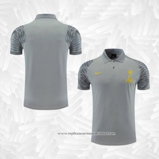 Camisola Polo del Liverpool 2022-2023 Cinza