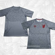 Camisola de Treinamento Athletico Paranaense 2024-2025 Cinza