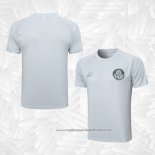 Camisola de Treinamento Palmeiras 2023-2024 Cinza