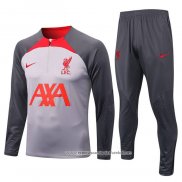 Sueter de Treinamento Liverpool 2022-2023 Cinza