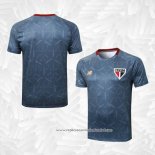 Camisola de Treinamento Sao Paulo 2025-2026 Azul Cinza