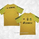 Camisola de Treinamento Tigres UANL 2023-2024 Amarelo