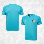 Camisola de Treinamento Palmeiras 2023-2024 Verde