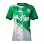 Camisola Palmeiras Special 2024 Verde Cinza Tailandia